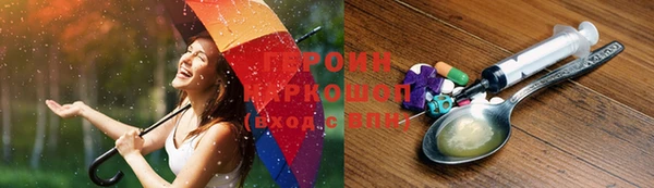 гашик Бородино