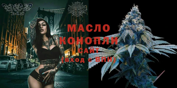 гашик Бородино
