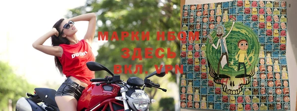 гашик Бородино