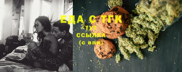 гашик Бородино