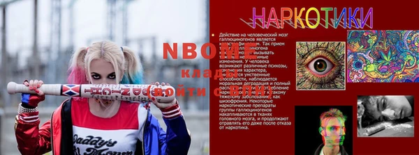 гашик Бородино