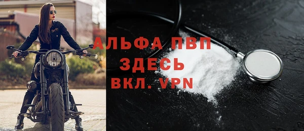 гашик Бородино